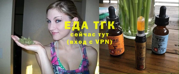 эйфоретик Няндома