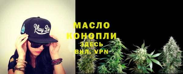 молекула духа Нягань